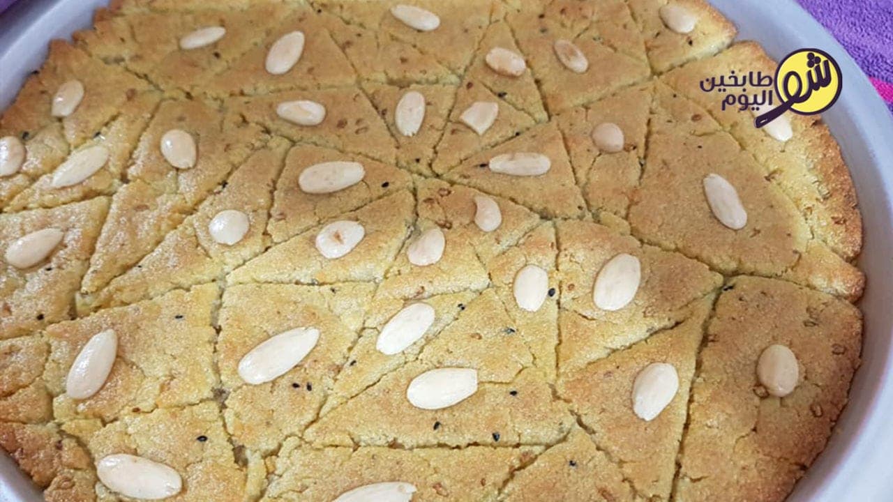 الحلبة الفلسطينية