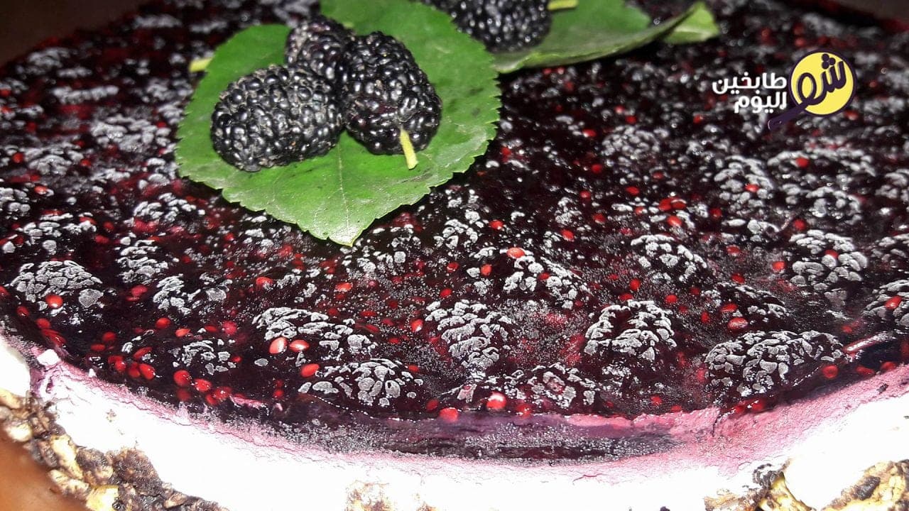 Chocolate Cornflakes and Berry Cheesecake