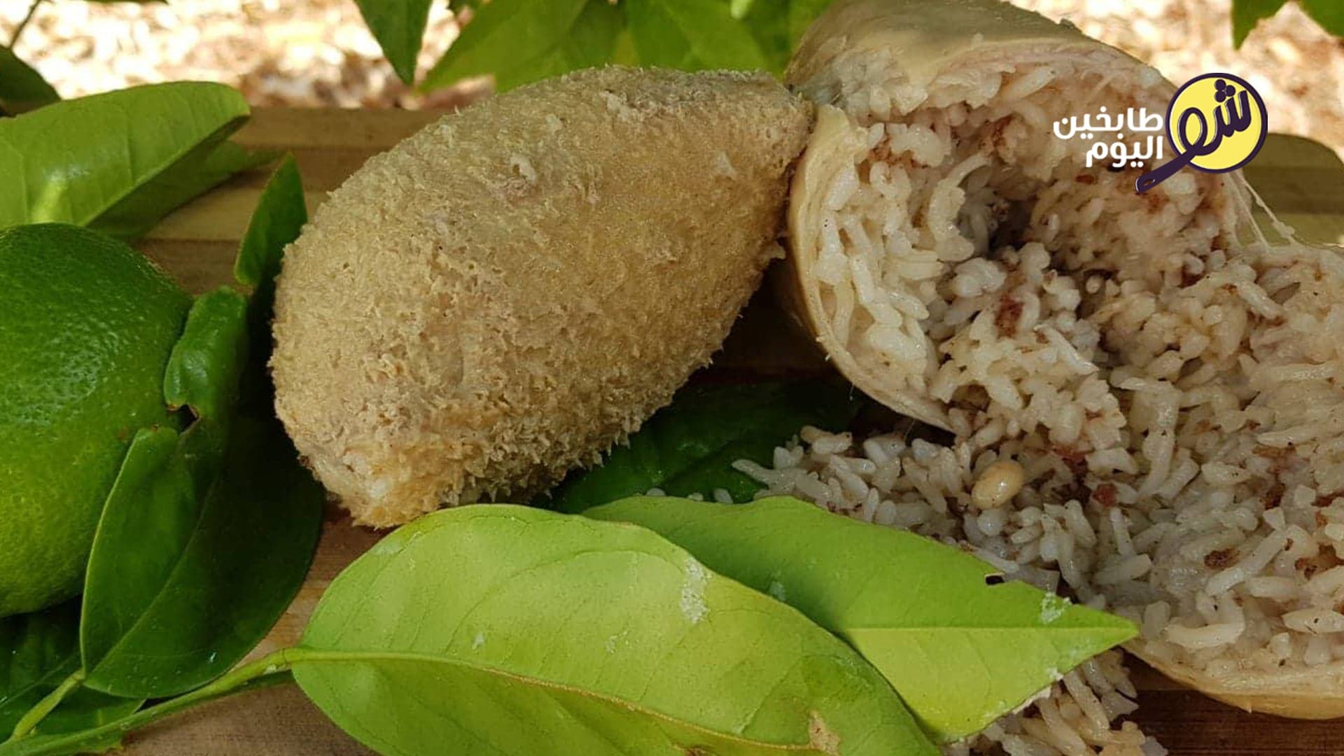 طريقة عمل القبوات على الأصول