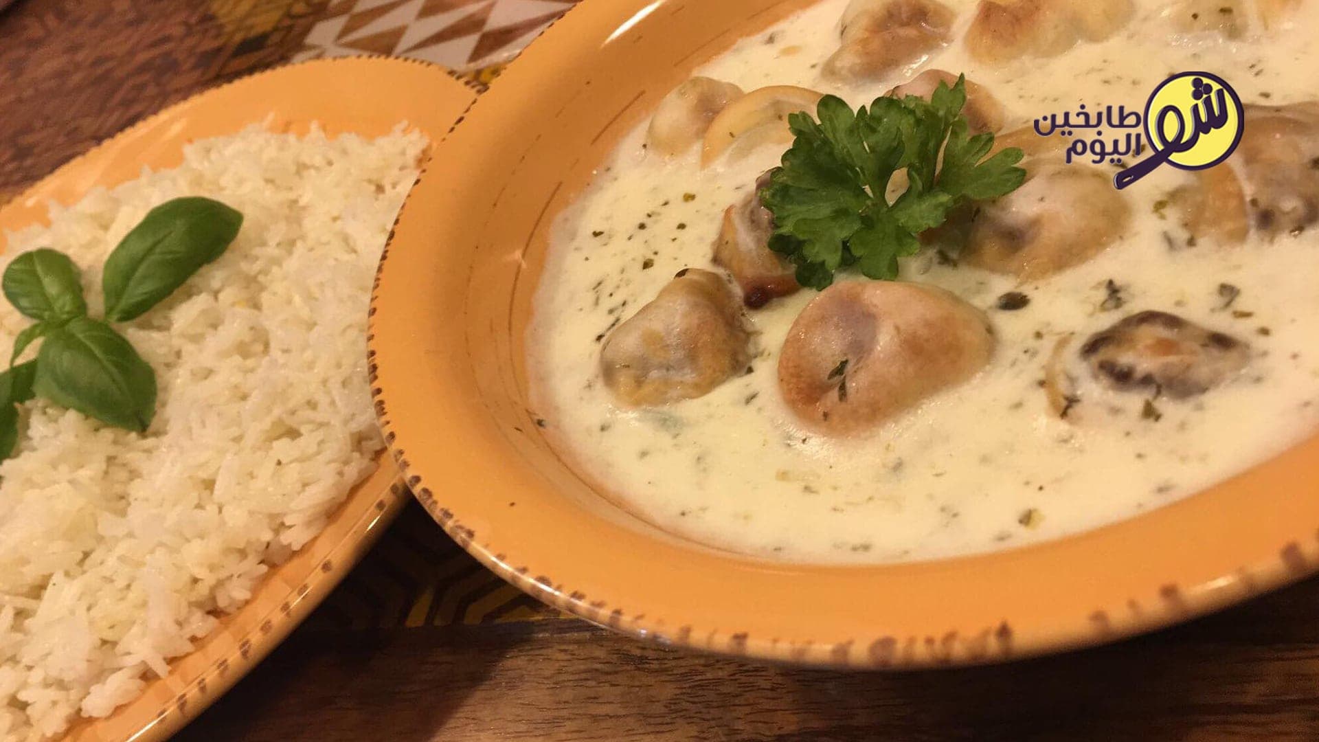 Shish Barak (Yogurt Dumplings) with Rice
