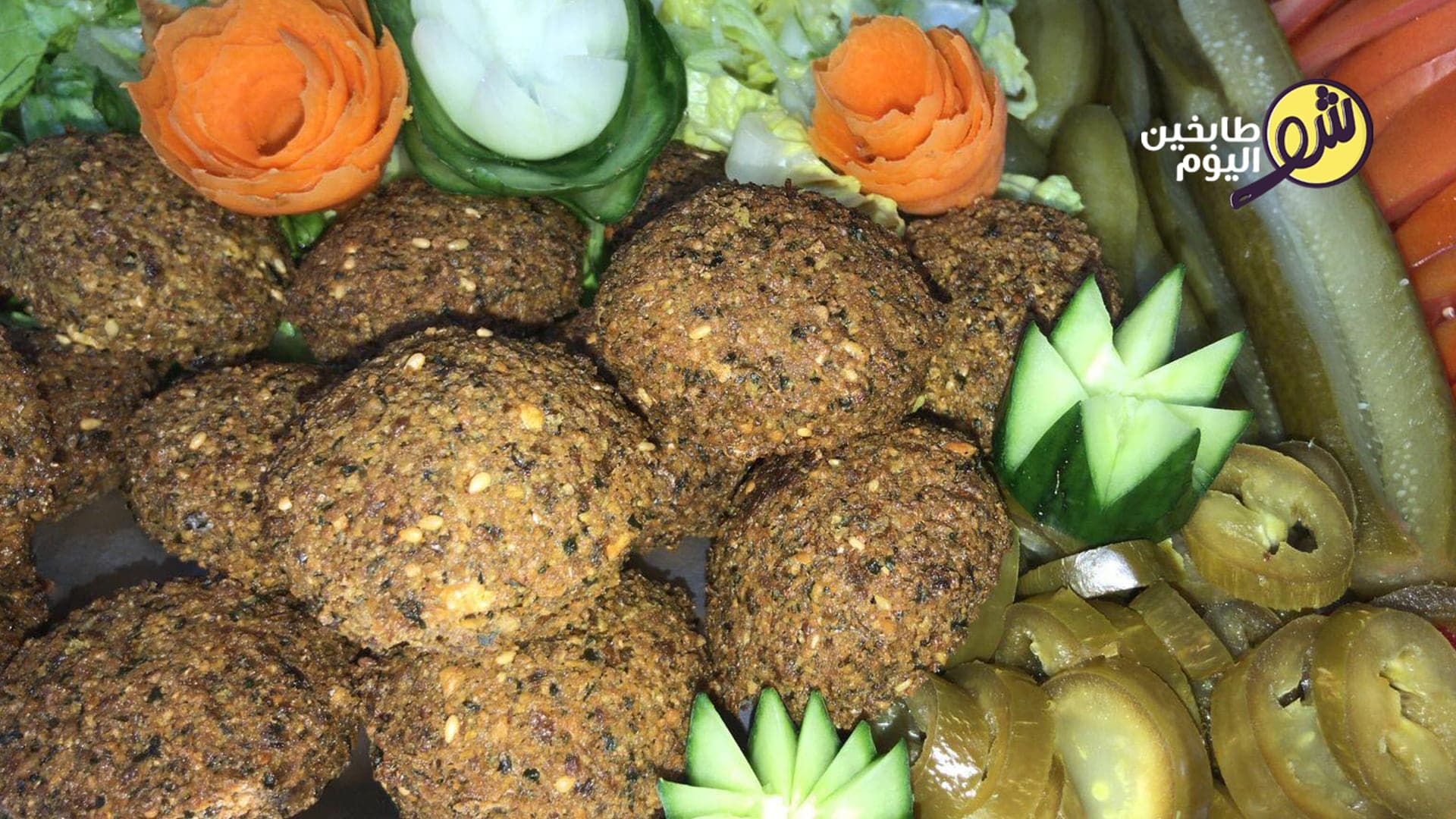 Light Falafel (No Fava Beans)