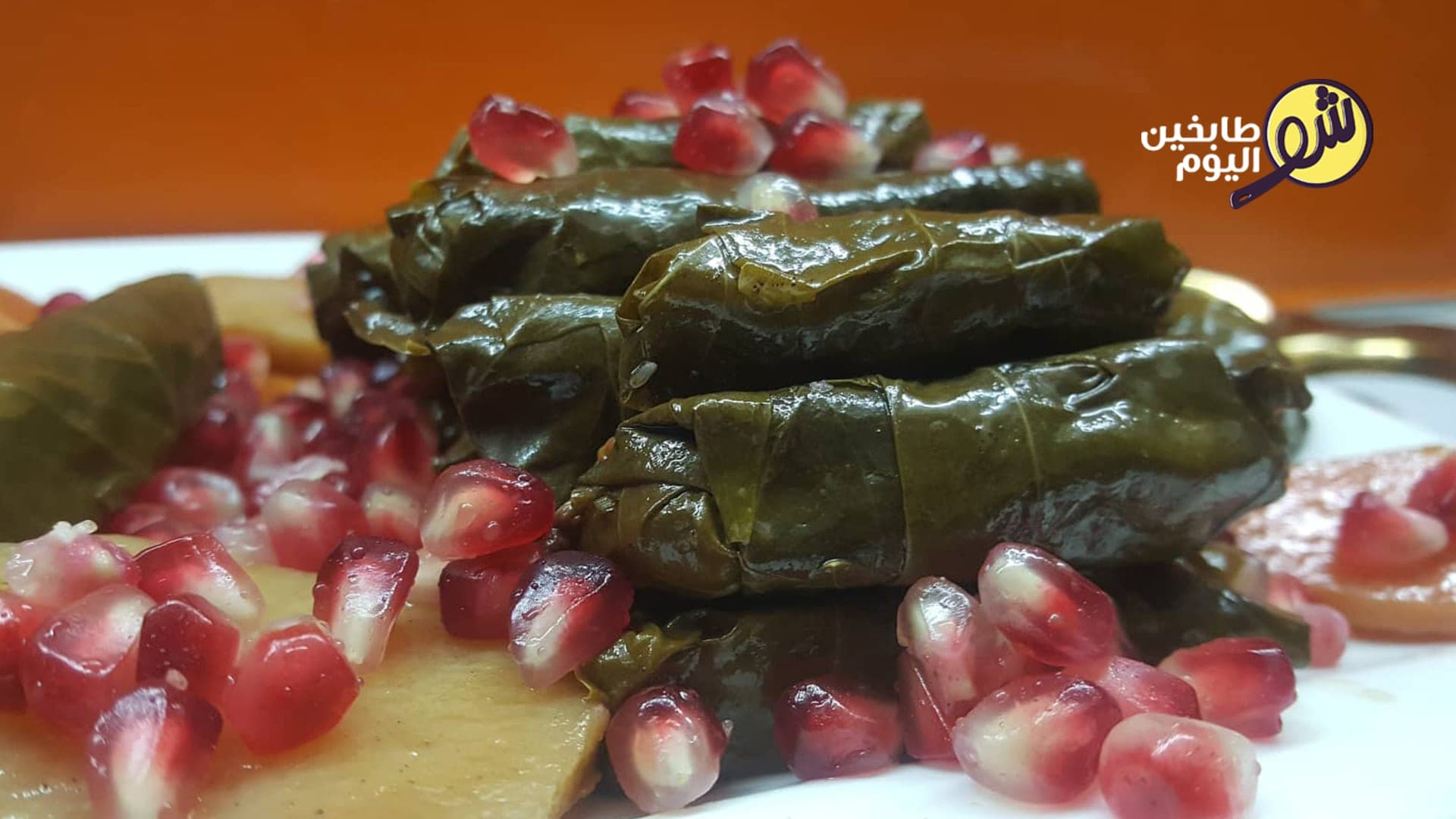 Grape Leaves in Olive Oil (Warak Enab bi Zeit)