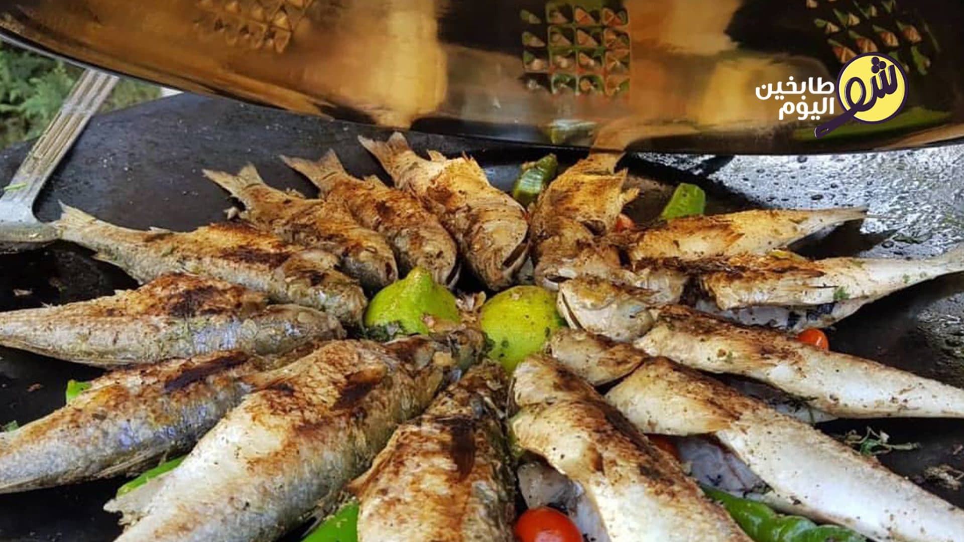 Grilled Fish on Charcoal with Tartor Sauce