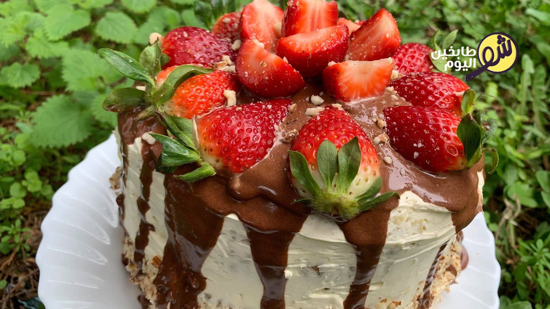 كاتو بالغاناش وكريمة الزبدة