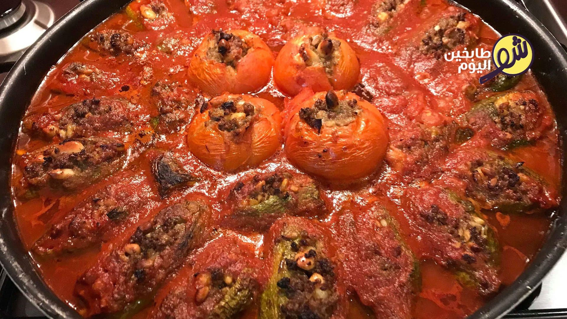 كوسى أبلما بصلصة البندورة