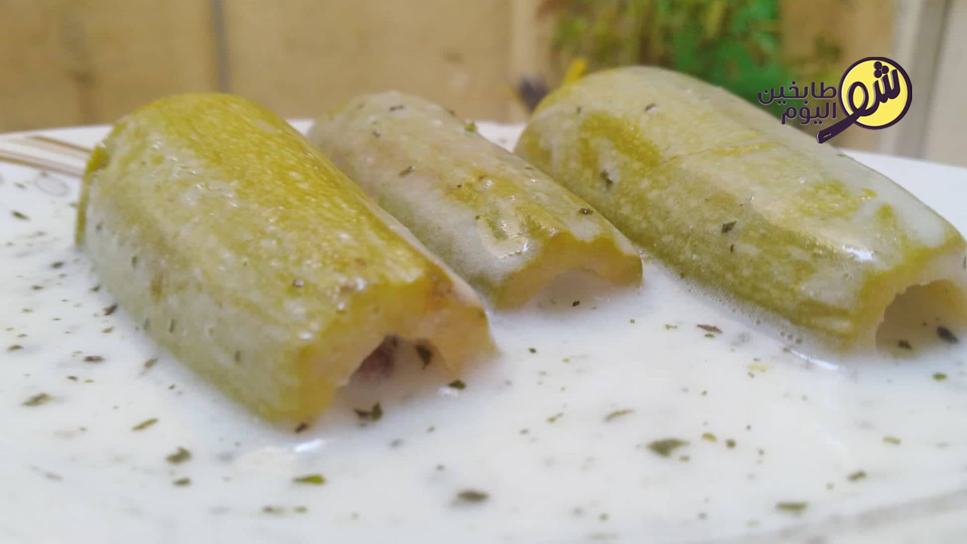 كوسى محشي باللبن