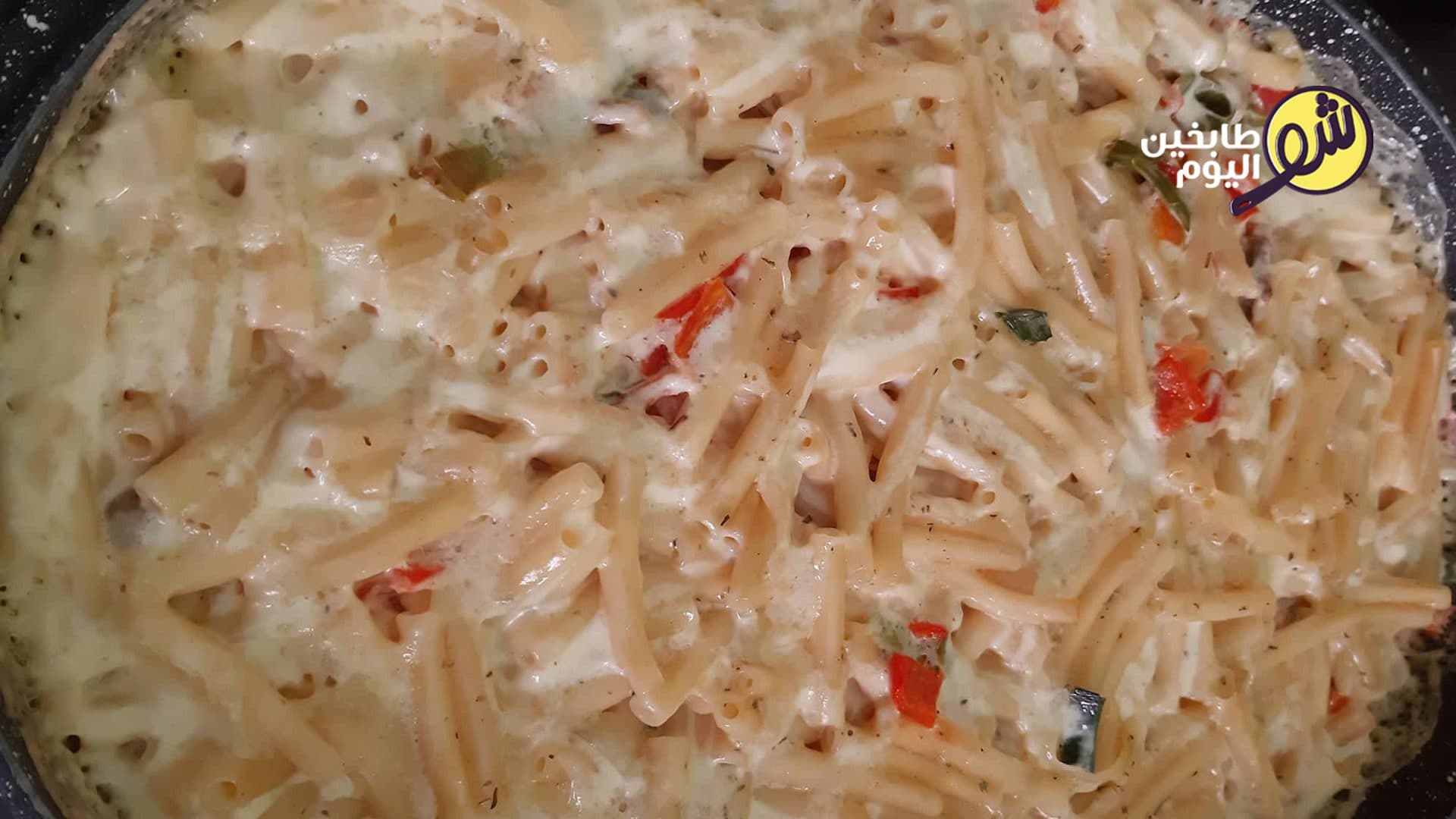 Creamy Pasta Casserole