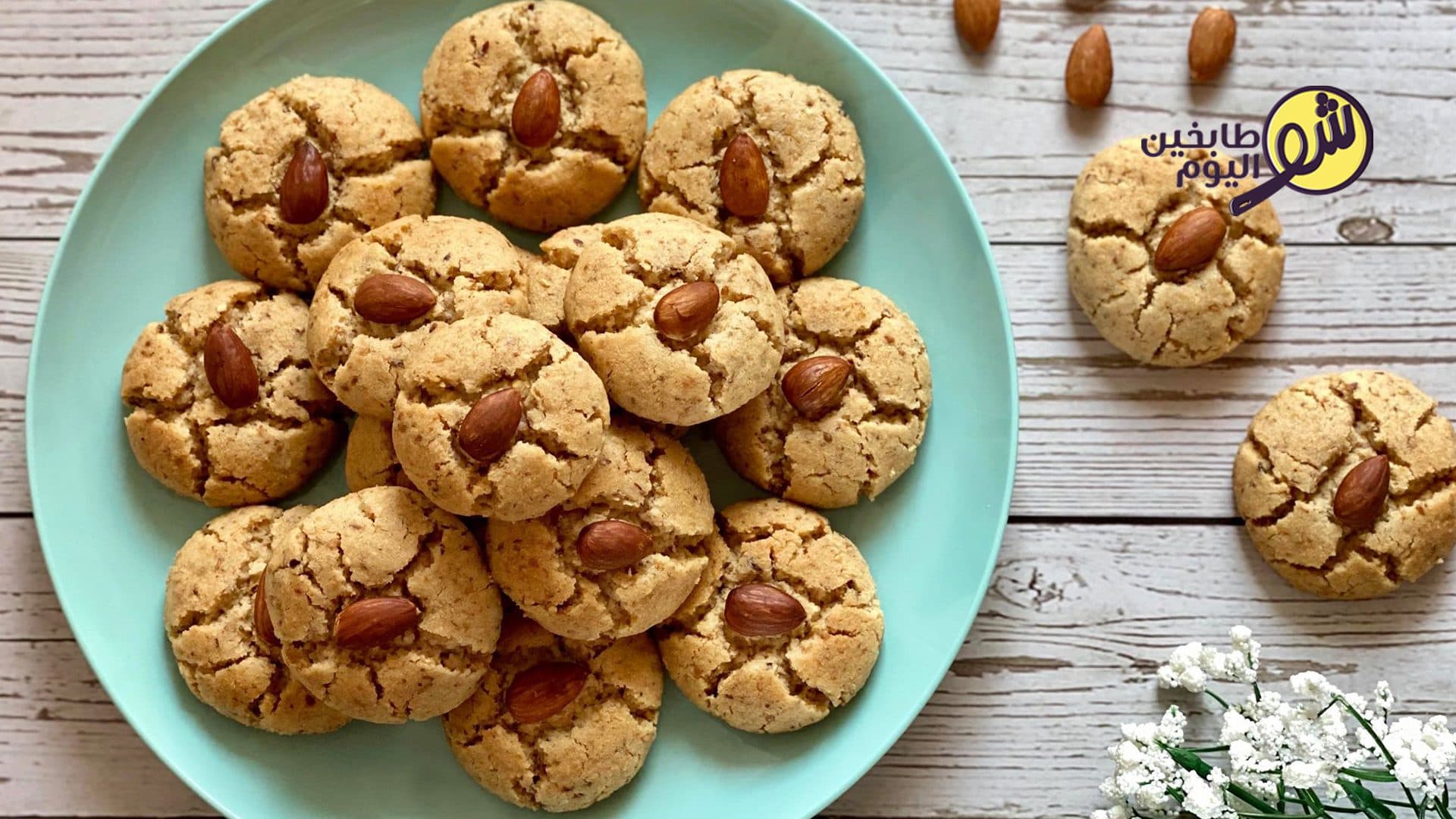 حلا غريبة البهلة