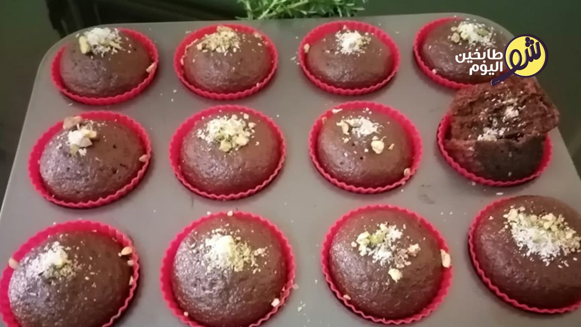 Cocoa and Orange Juice Cupcakes