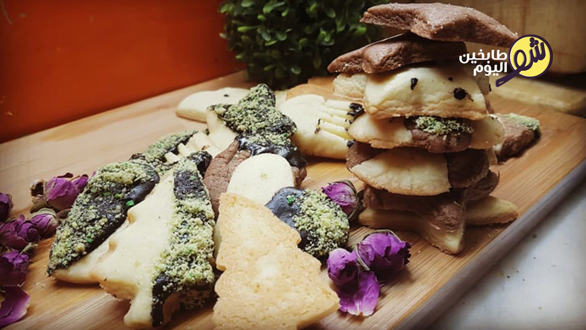 طريقة عمل البتي فور