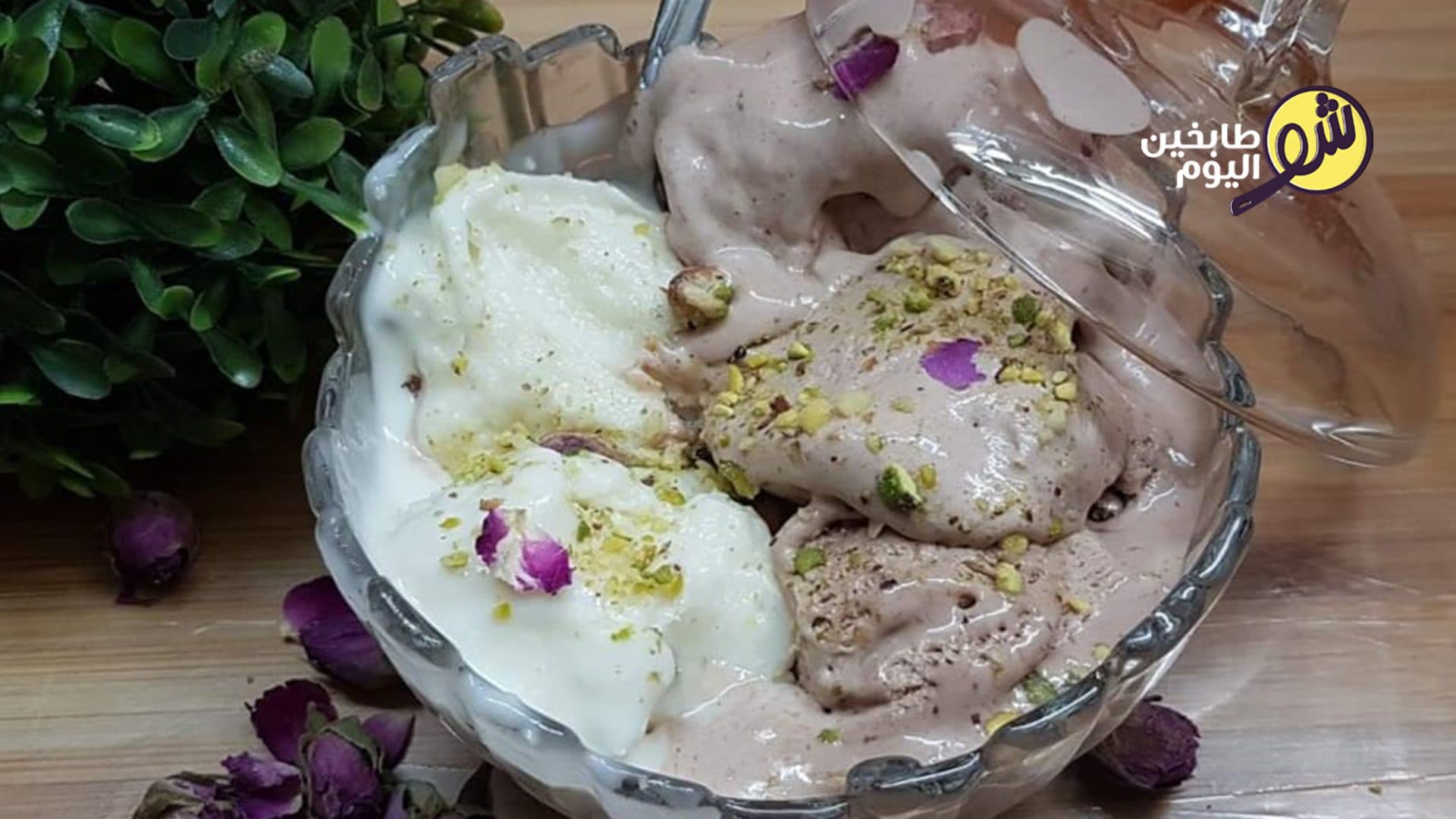 Vanilla and Chocolate Ice Cream