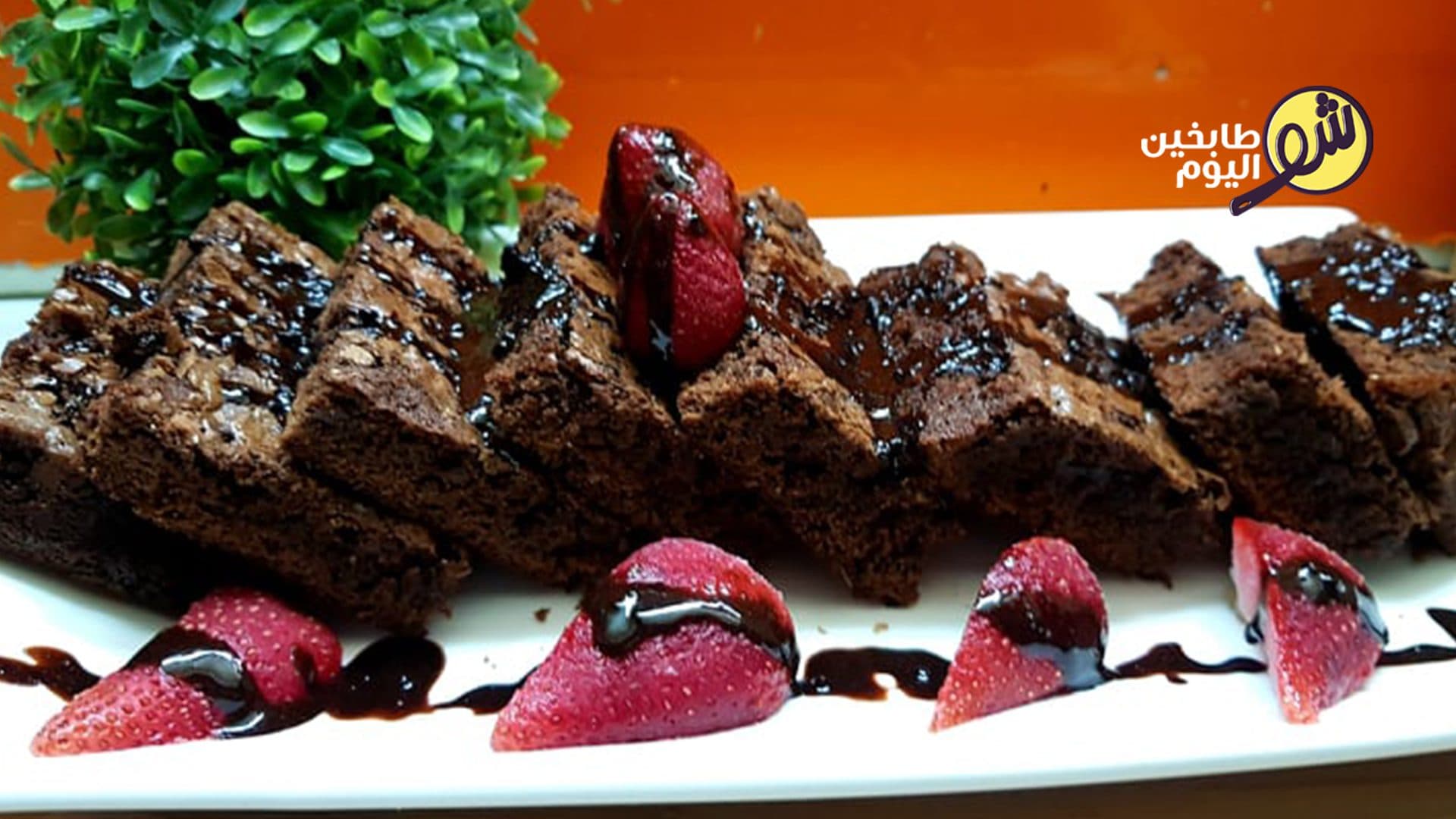 Chocolate Brownie Cake