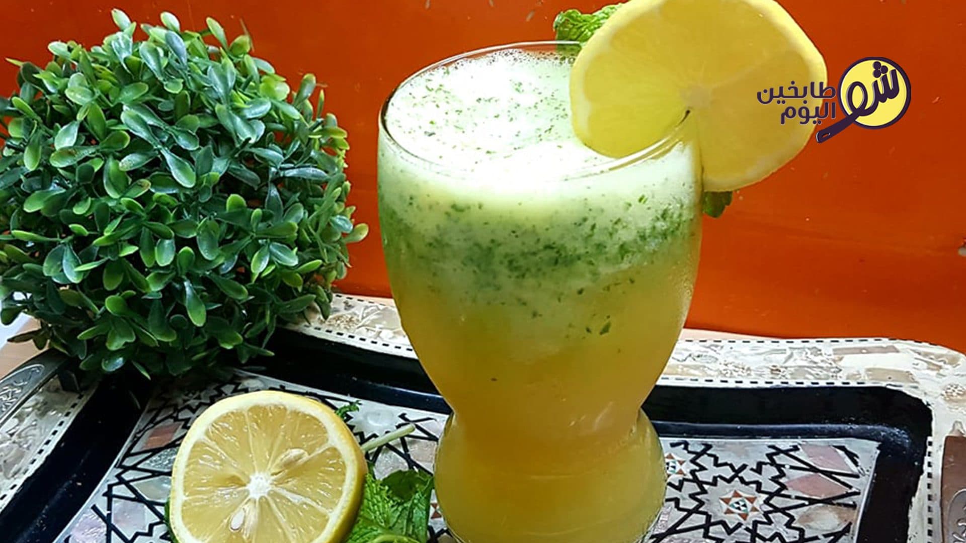 Iced Lemon and Mint Juice