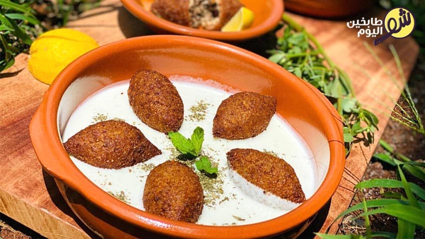 Kibbeh in Yogurt