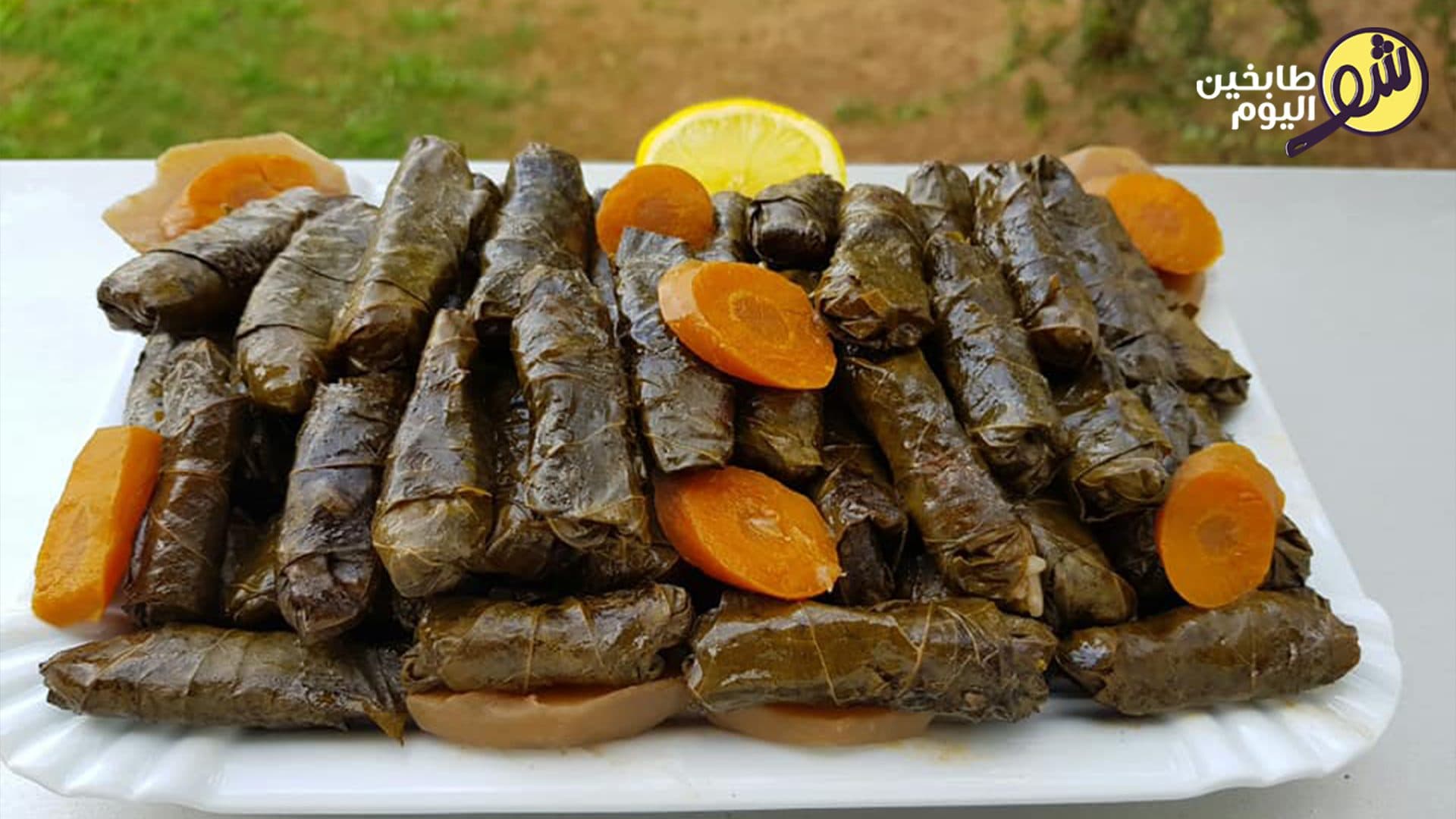 طريقة طبخ ورق عنب بزيت