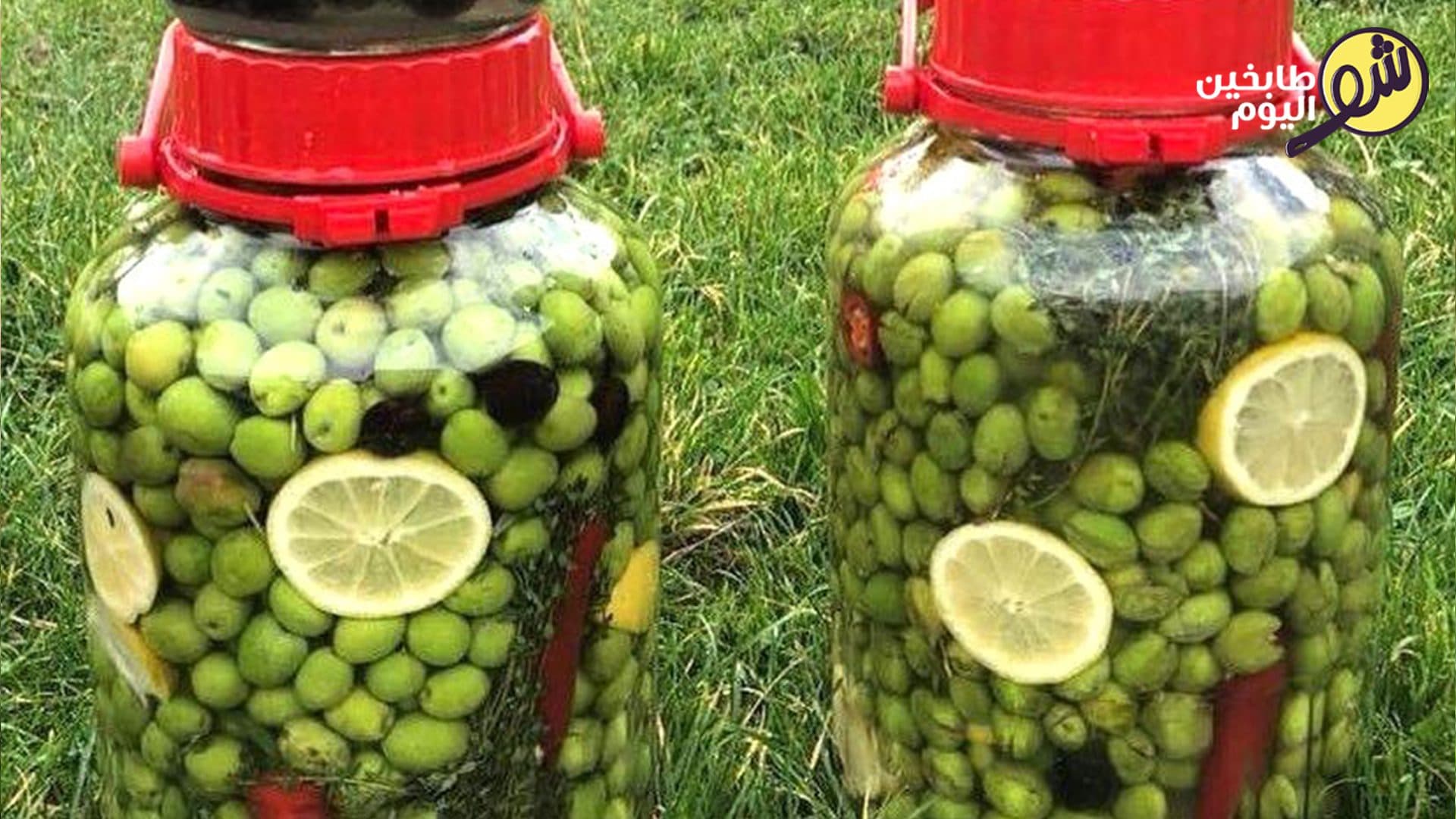 كبس الزيتون الاخضر والاسود